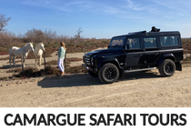 Camargue Safari Tours Logo