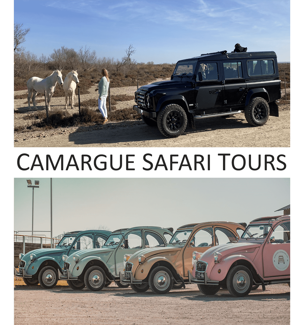 Camargue Safari Tours Logo
